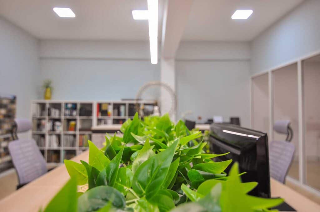 Lush green plant on office desk with modern workspace background, emphasizing interior design and office decor.